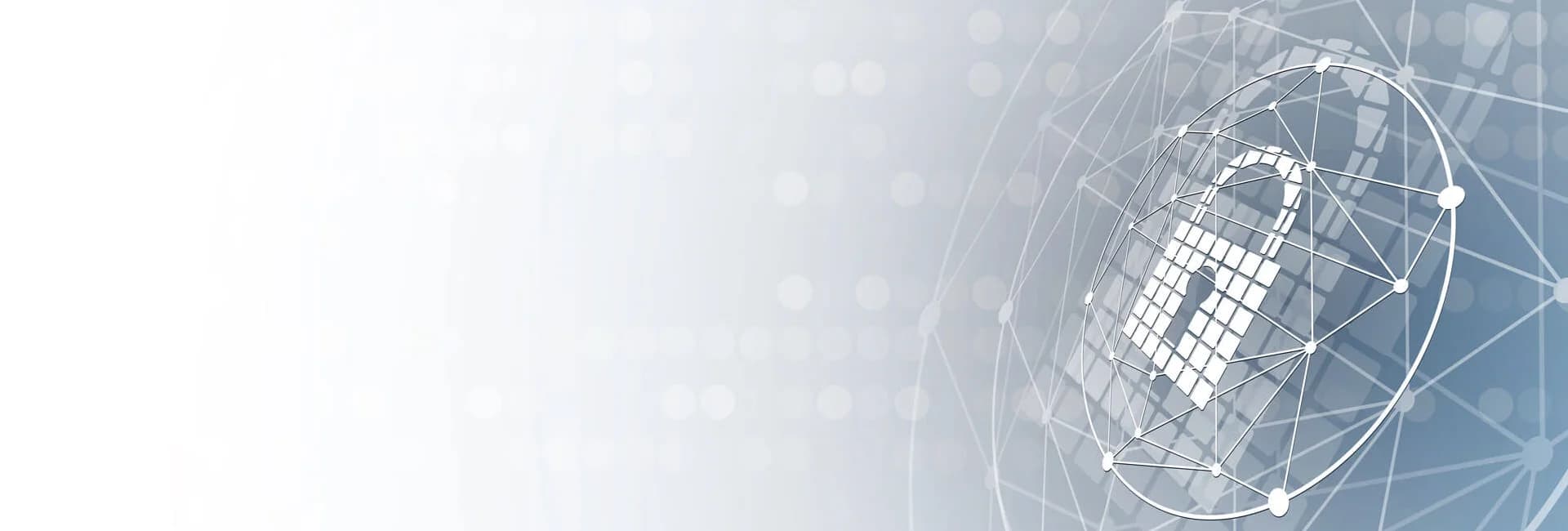 Arena Web Security professional course banner